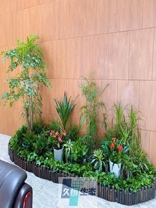 宁海企业大厅绿植组合摆放